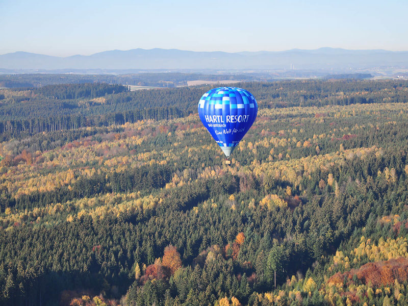 Blauer Ballon gleitet über dicht bewachsene Mischwälder vor einer Bergkette